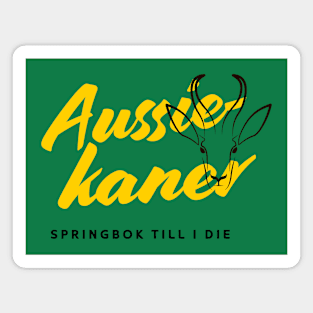 Aussiekaner Springbok till I Die Magnet